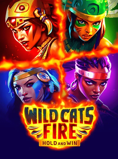 qq2